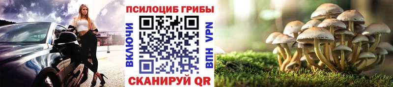 Галлюциногенные грибы Cubensis  Белогорск 