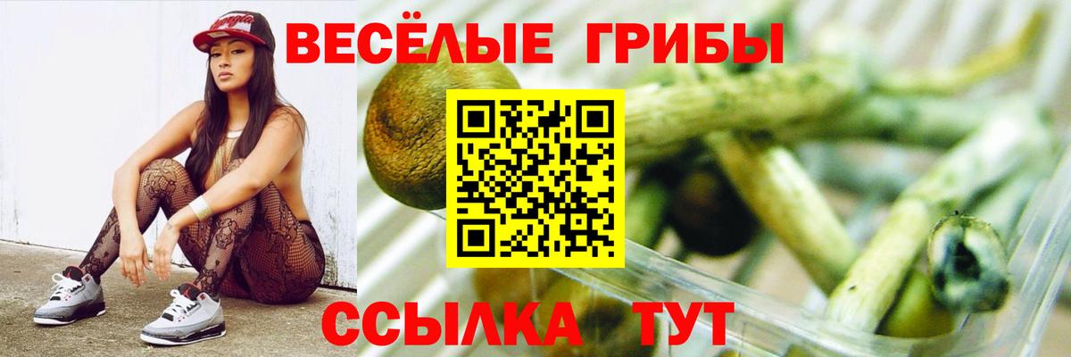 Галлюциногенные грибы GOLDEN TEACHER Белогорск