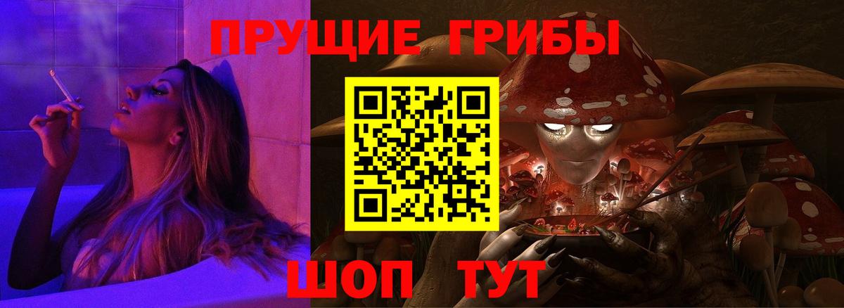 Псилоцибиновые грибы Cubensis Белогорск